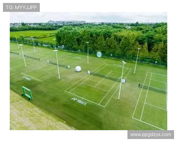 3. 网球比赛的项目分为草地、硬地和红土场地